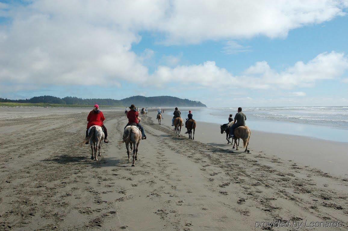 Best Western Inn At Face Rock Bandon Faciliteter billede
